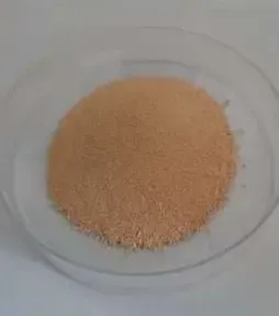 Polysuccinimide CAS#5608-40-6
