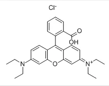 Rhodamine B CAS#81-88-9