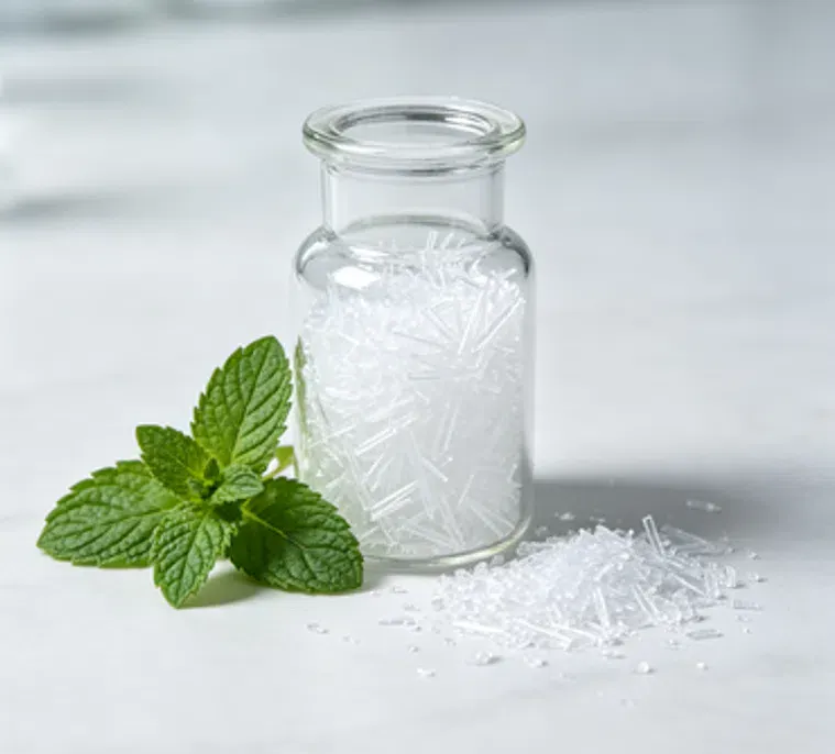 DL-Menthol CAS#89-78-1