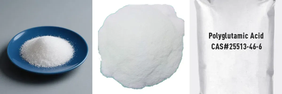 Polyglutamic Acid CAS#25513-46-6