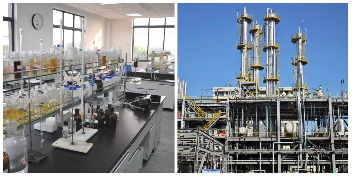 Acide lactobionique CAS#96-82-2